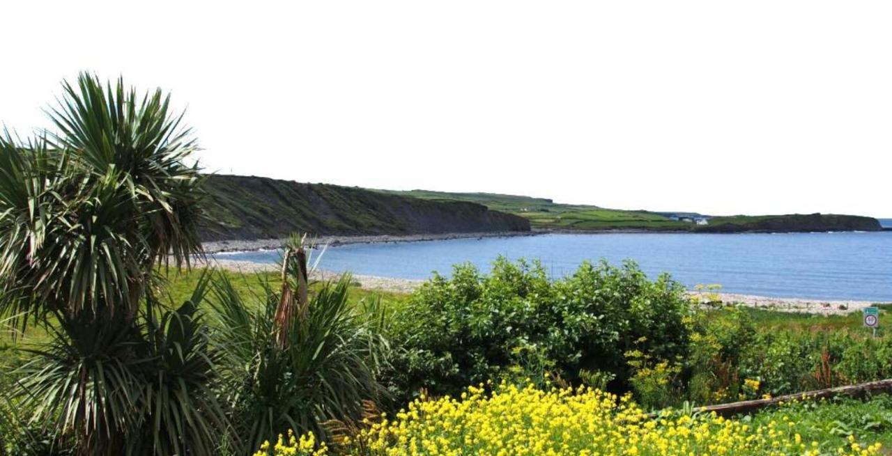 Wild Atlantic Lodge Bed & Breakfast Lahinch Eksteriør billede